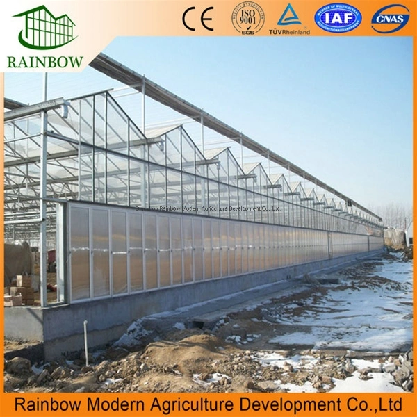 Agricultural Vegetables Greenhouse Used Polycarbonate Sheet