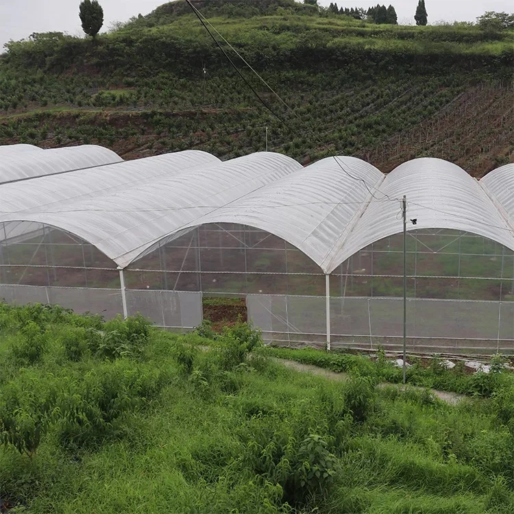 Único Multi/span Agricultura/granja comercial/Film de plástico de la Casa Verde para pepino/Tomoto/Cherrytomoto/Color/Capscium/Pepper/Verduras/fresa