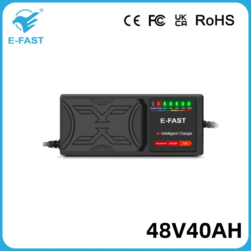 48V40ah New Intelligent Repair Electric Pulse Battery Charger for Lead Acid AGM Battery