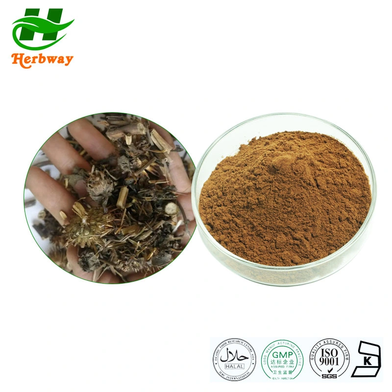 Herbway Factory Direct Sale Natural Supplements Echinacea Purpurea Echinacea Angustifolia Extract