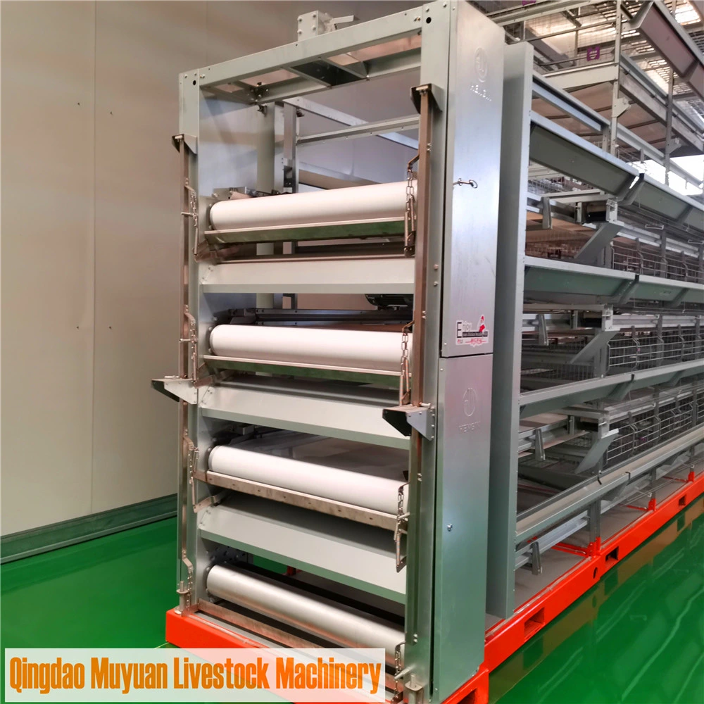 Factory Price Livestock Layer Poultry House Equipment Chicken Farming Machinery