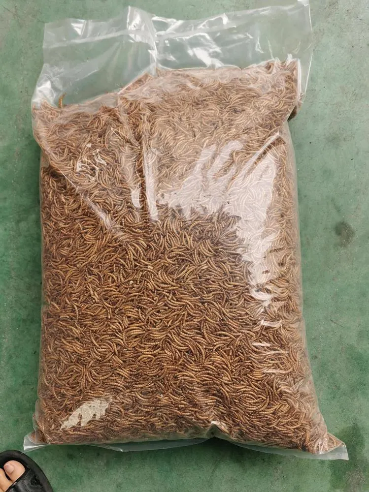Gusanos de la harina secos para alimentación de aves de corral/aves/peces ornamentales/Reptiles