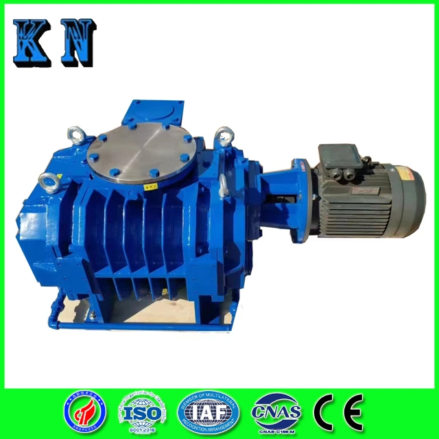 Roots Vacuum Pumps for Petroleum, Chemical, Metallurgy, Textile and Other Industries From China