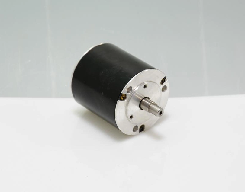 24V 120W Electric BLDC Brushless DC Motor with Controller