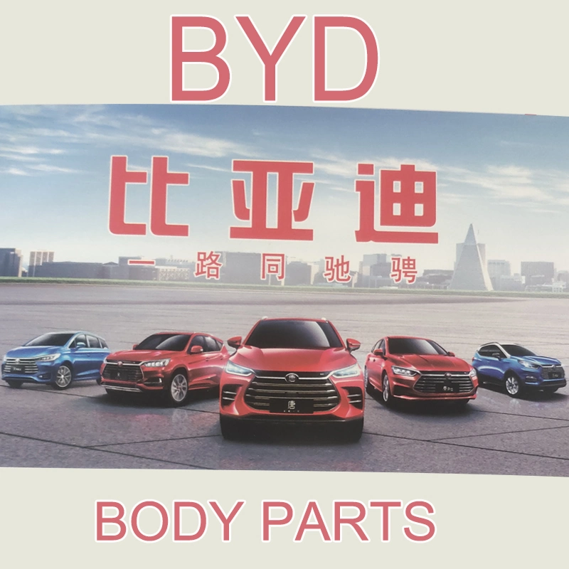 Full Auto Accessories Reasonable Price Original Parts for Byd Vehicles Series