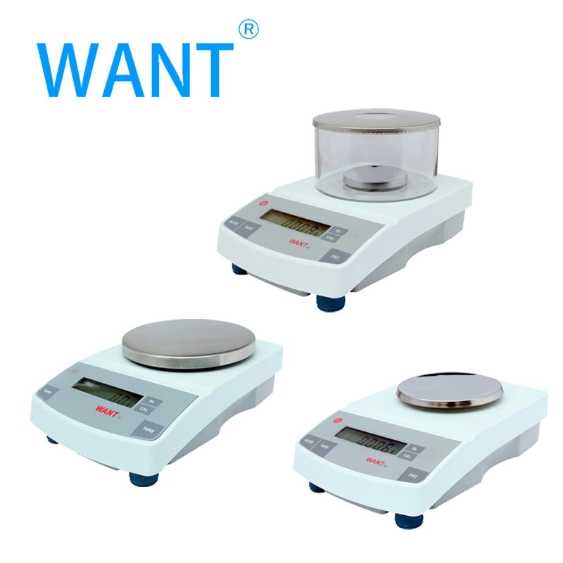 100g 200g 300g 1mg Laboratory Electronic Precision Balance