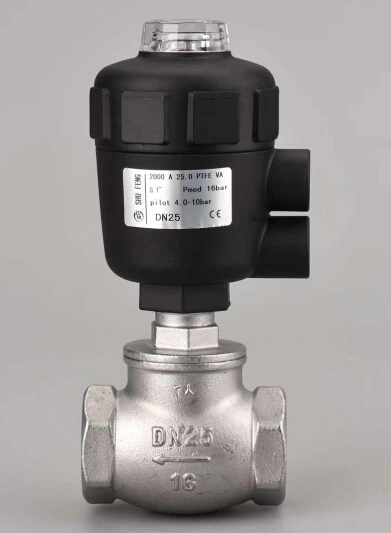 Ss Stainless Steel Pneumatic Female Thread Check Valve