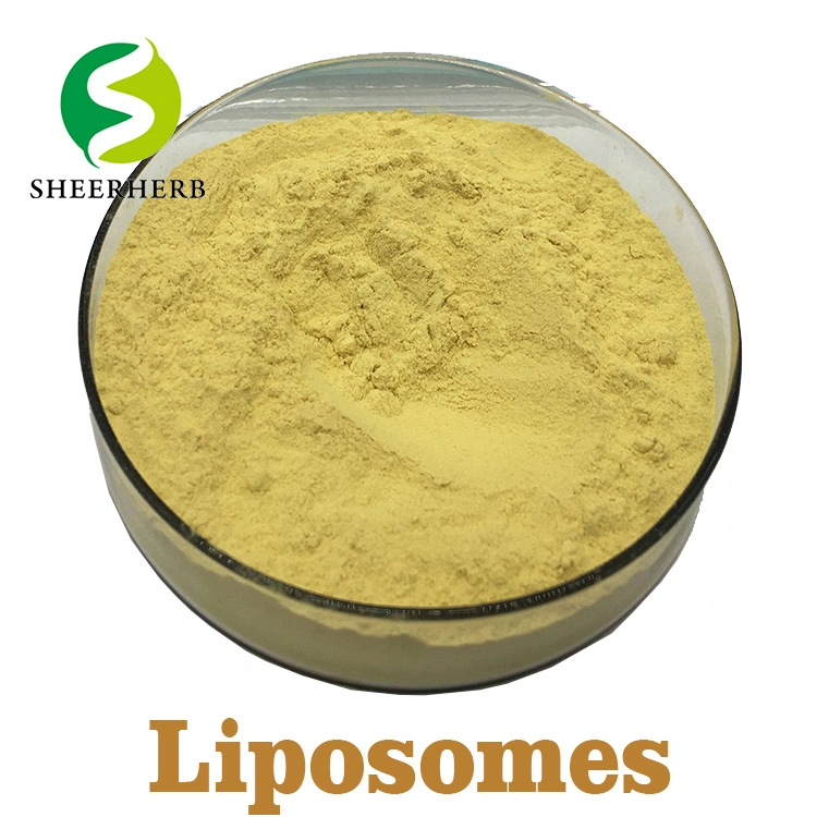 Sheerherb Factory Outlet Nano Liposome Vitamin C Powder