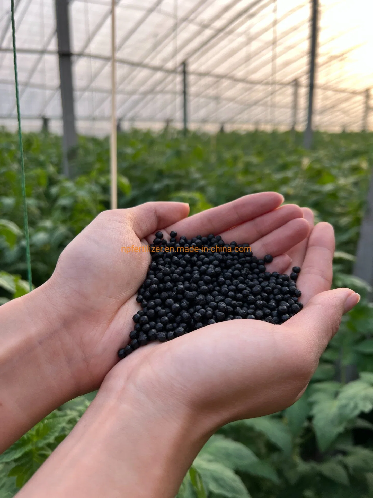 Organic Fertilizer Manufacturers in China Humic Acid for Soil Amino Acid Based Fertilizer