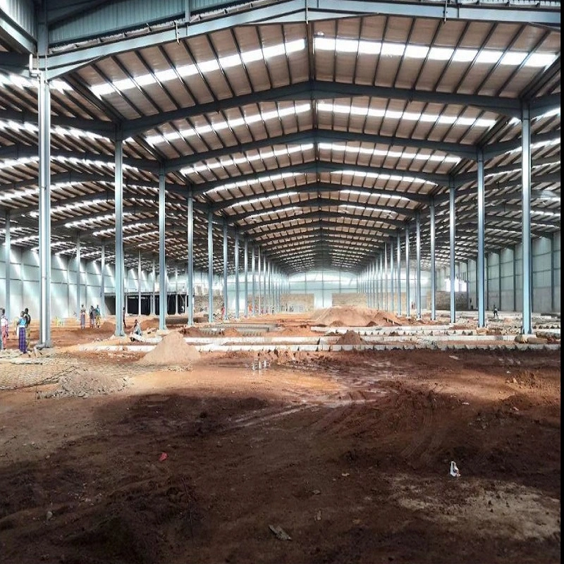 Henan Storage Polycarbonate Greenhouse Prefabricated Steel Structure Farm Plant for Chicken