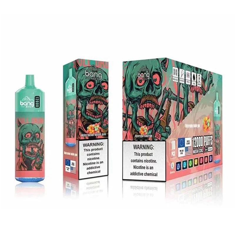 20ml Typ-C Akku Bang Box 12000 12K Puffs Plus Großhandel Einweg Vape Pen Ecig