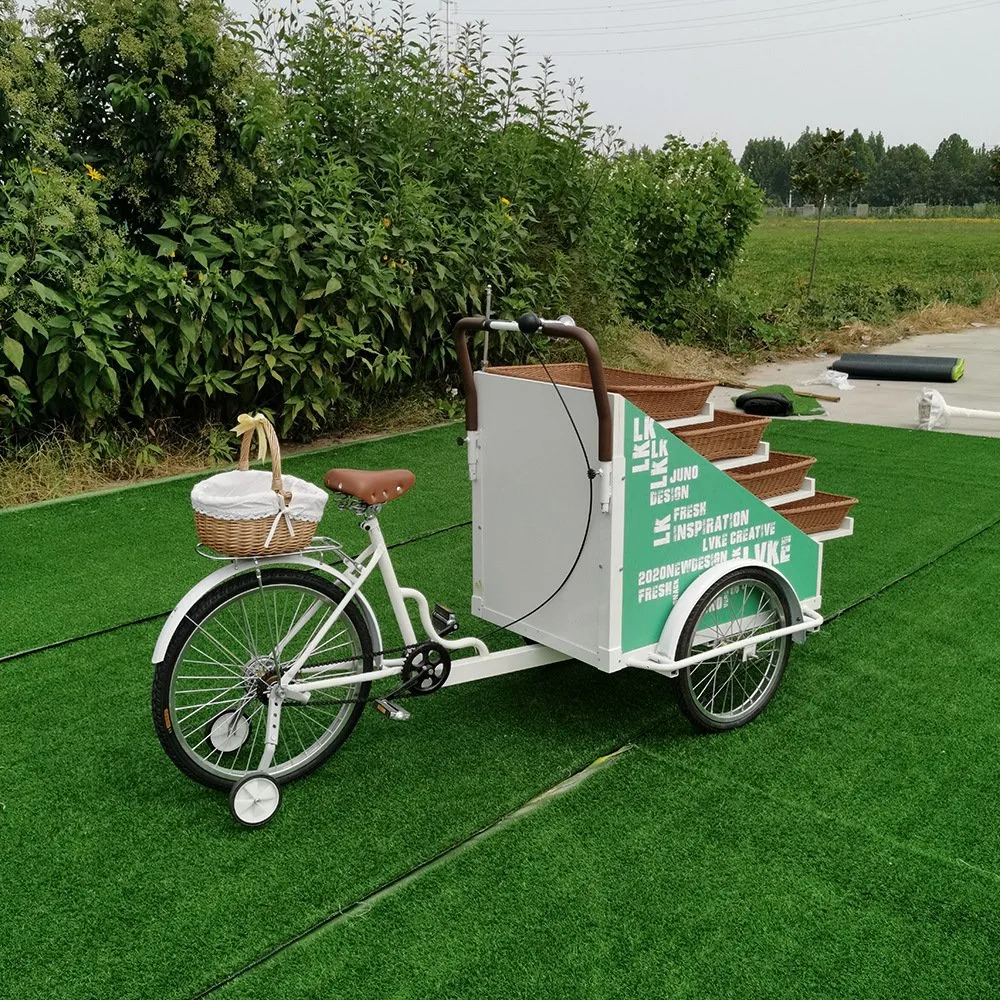 Beliebte Straße Vending Food Trailer Warenkorb Mobile Vending Cart Icecream Flower Bike