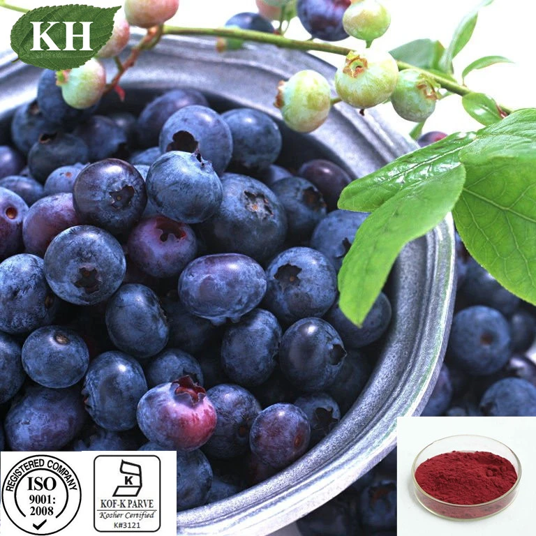 Supply 100% Natural Blueberry Extract 20% Pterostilbene