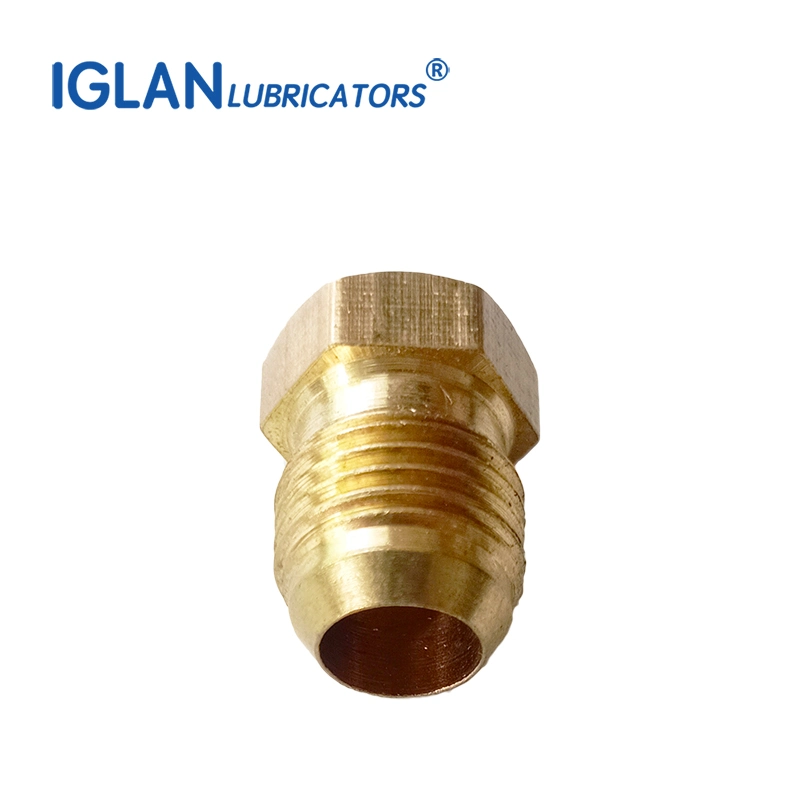 Hex Pipe Fitting Brass Material Plug Oil Pipe Closure Plug Grease Tube Valve Fittings