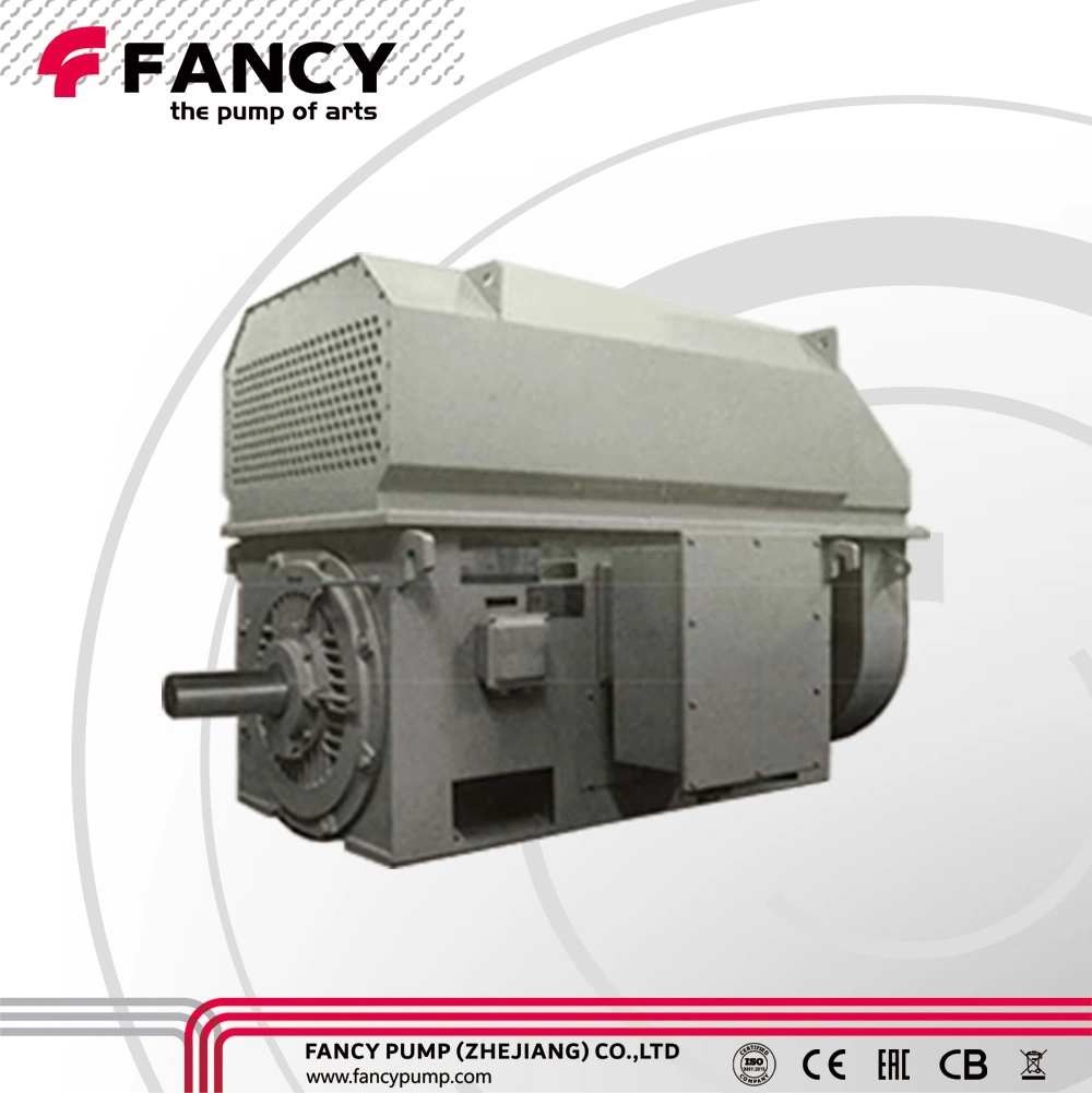 Fancy Ykk rotor à cage d'écureuil de moyenne tension AC Moteurs asynchrones