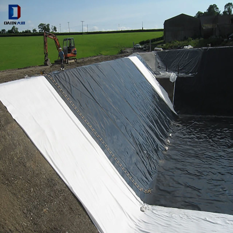 0.3 0.75 0.8 3mm Thickness Impervious HDPE Geomembrane for Garden Biogas Canal Lining