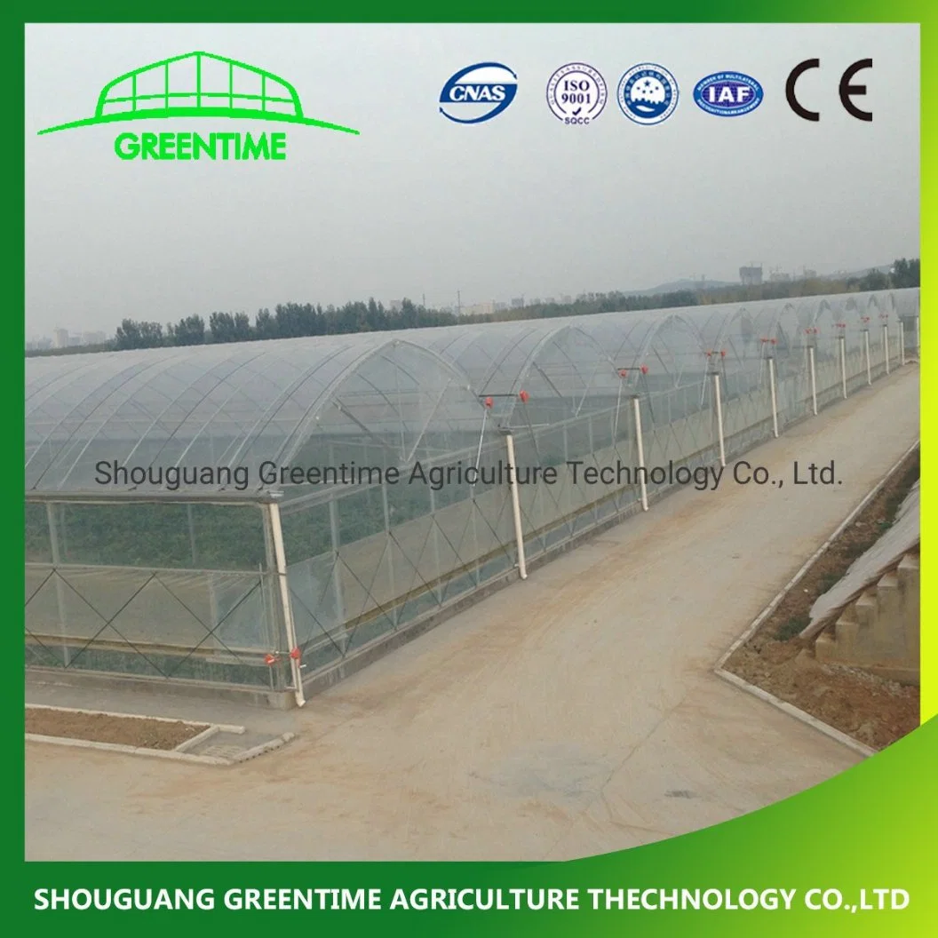 Agricultural Multi Span Plastic Film Green House Hydroponics Vertical Growing System for Sale