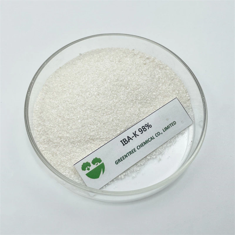 Iba-K Indole Butyric Acid Potassium Salt 98%Tc Plant Growth Regulator CAS 60096-23-3