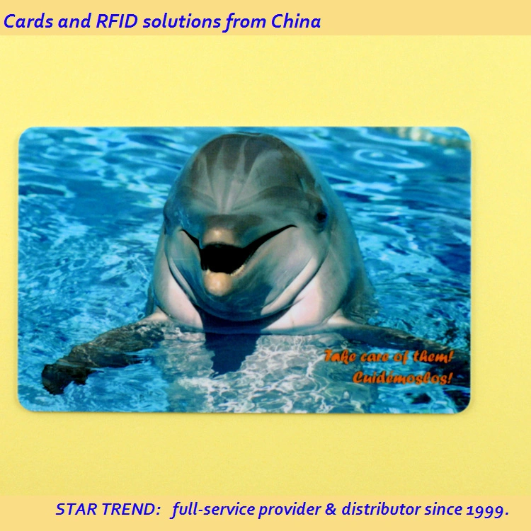 Aquarium Card Made PVC with Magnetic Stripe