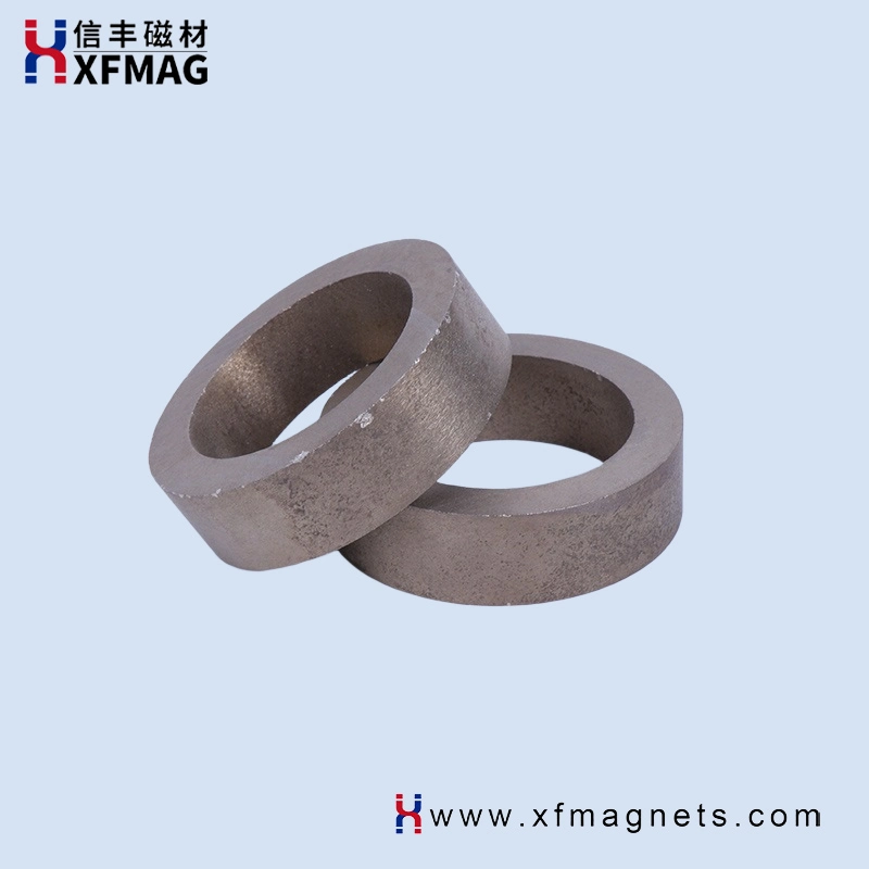 Customized Size Rare Earth Permanent Strong Magnetic Material SmCo Magnet Ring