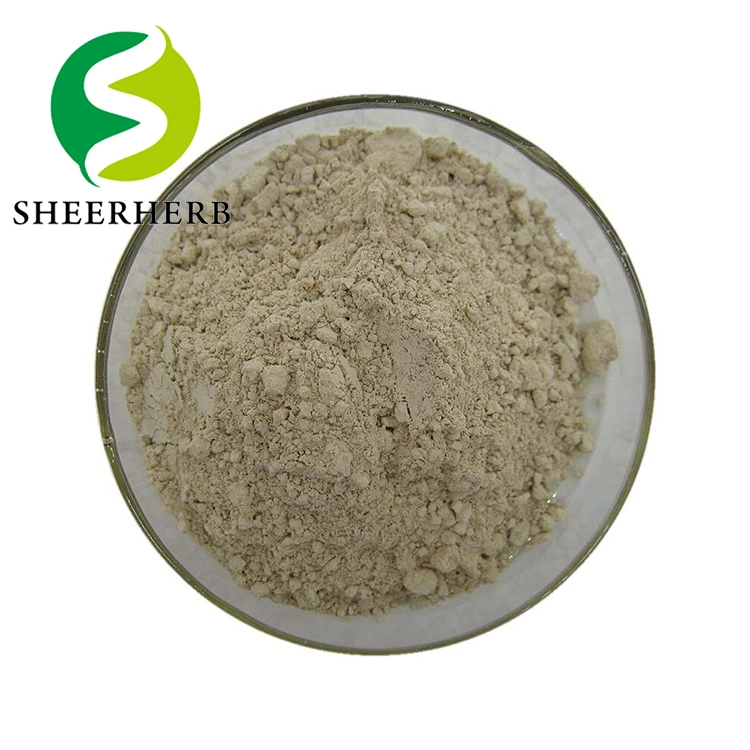 ISO Factory Supply High quality/High cost performance  Sheep Placenta Powder Freeze Dried Sheep Placenta Extract Powder