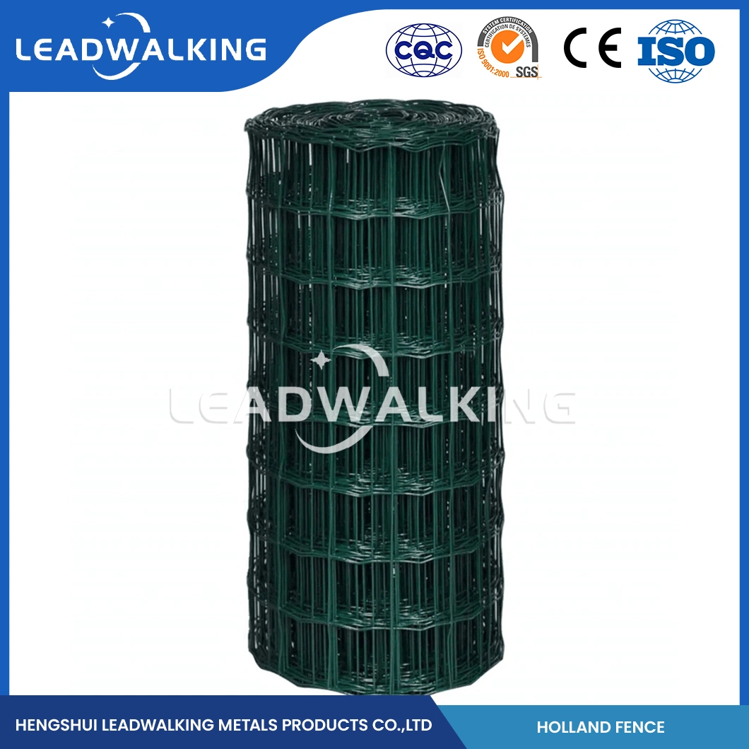 Muestra de fábrica de malla de alambre recubierta de PVC soldada en Leadwalking disponible 3mm Paneles de malla de alambre soldado recubiertos de PVC China 3,0mm grosor del alambre Nederlands Net