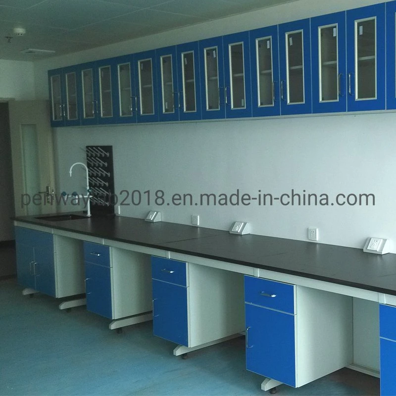 Laboratorio personalizada anticorrosión muebles chinos muebles escolares