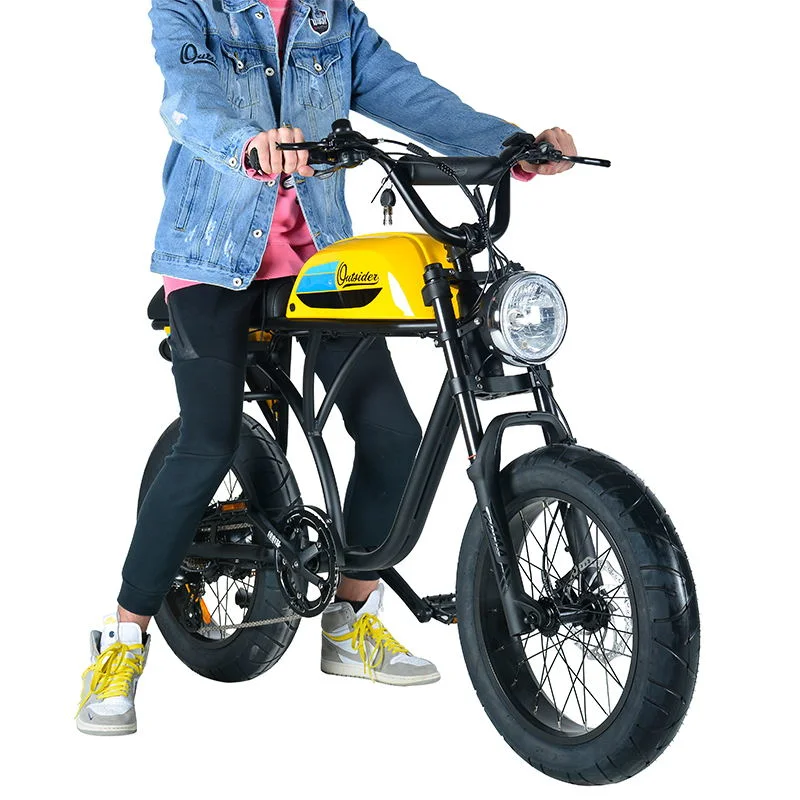 350W Ebike 36V 13AH литиевая батарея электрический велосипед с маркировкой CE/EN15194 электрический велосипед
