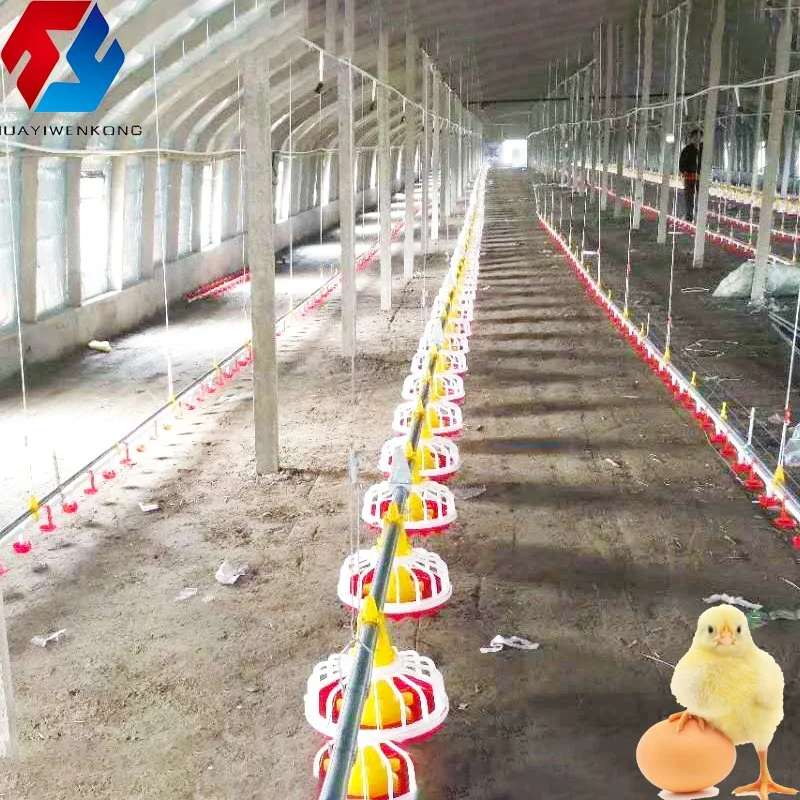 Poultry Shed Chicken Farm Building House for 10000 Chickens, Feeding and Nipple Drinking Line System for Broilers