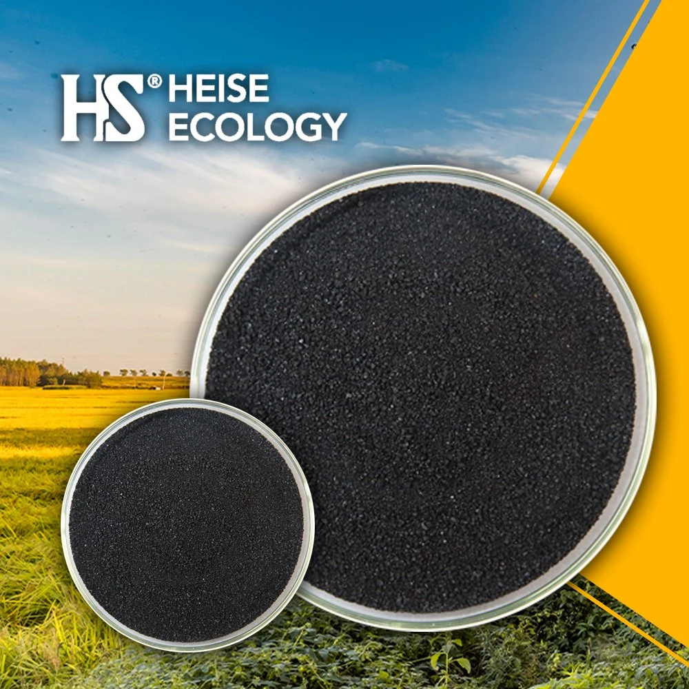 HS-Eco Hochwertige Huminsäure Fulvosäure mit schwarzem Glanz Pulver