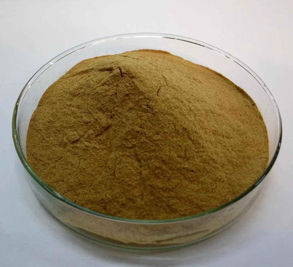 China Product 100% EU Organic Pure Arnica Extract Powder