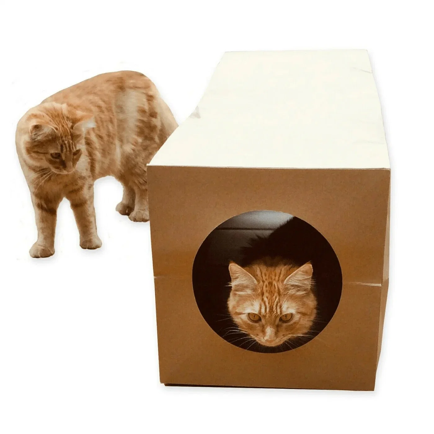 Cat Tunnel Toy Foldable Holes Kitten Kraft Paper Tunnel Cave Hiding Toy for Cats Pet Supplies Interactive Cat Toy