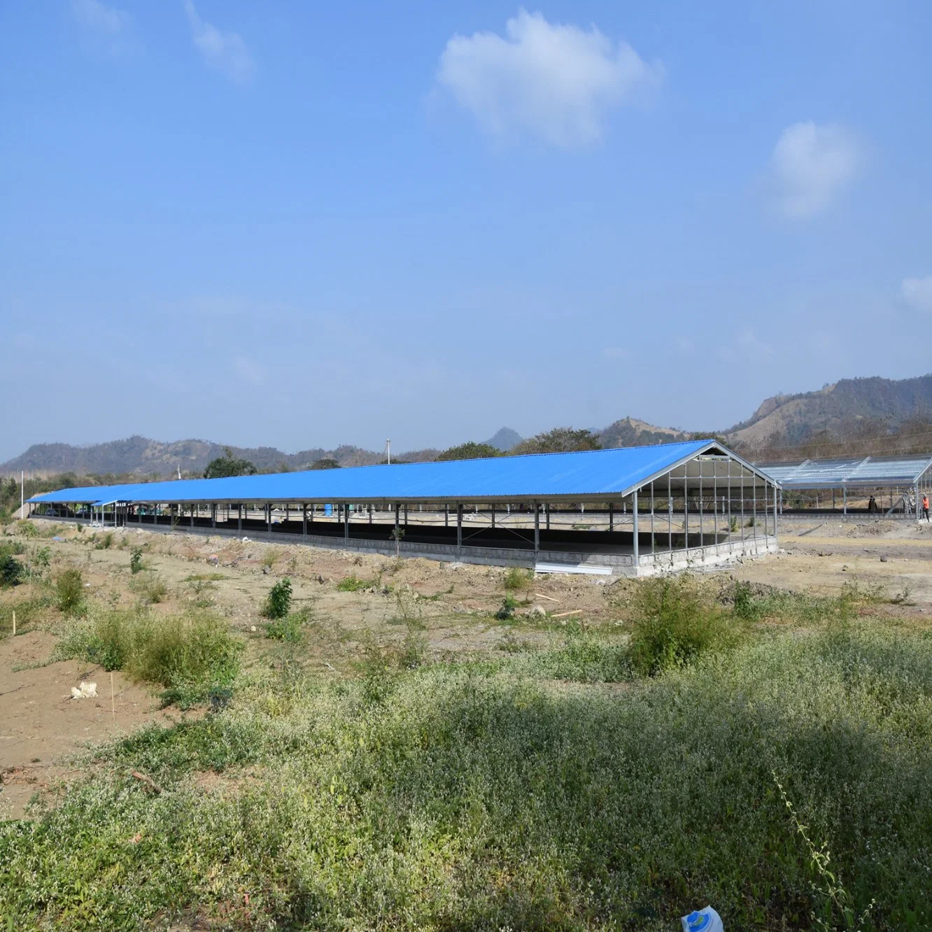 Prefabricated Poultry Chicken Birds Farm with Automatic Poultry Equipment