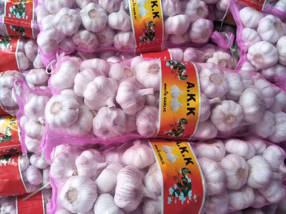 Fresh Normal White Garlic/Pure White Garlic with 4.5cm Mesh Bag Packing