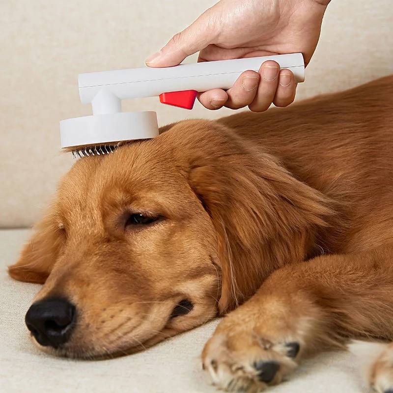 Peigne électrique pour enlever les poils des chiens et chats avec fonction d'auto-nettoyage.