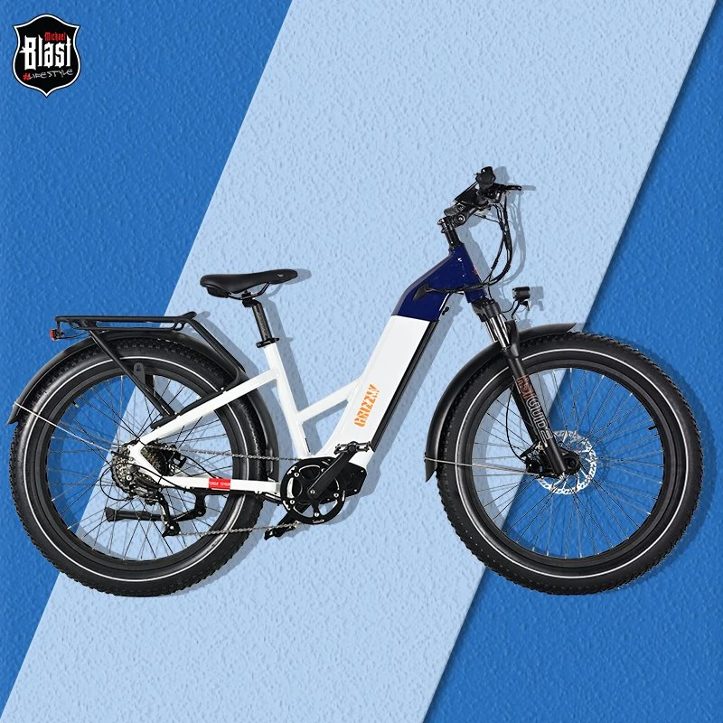 New Type Fast Dirt Mountain Ebike 750W Big Rate Hub Motor Electric Bikes