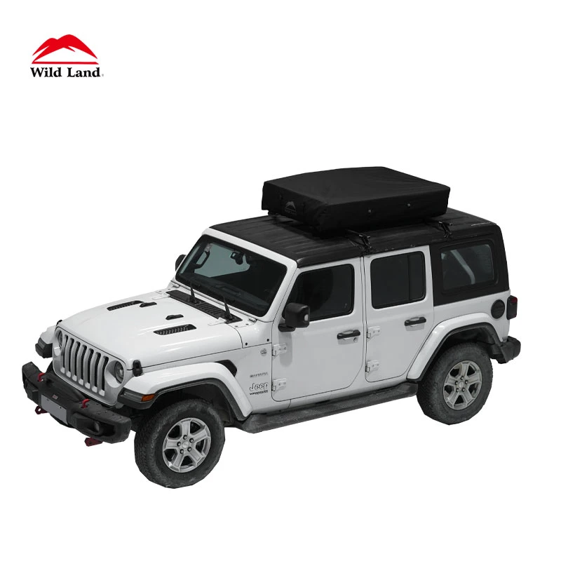 Wildland Nuevo patentado tubo de aire Diseño de coches al aire libre Camping Rooftoptent Con escalera Sky Window Air Cruiser Hard Shell Tent personalizado Plegado