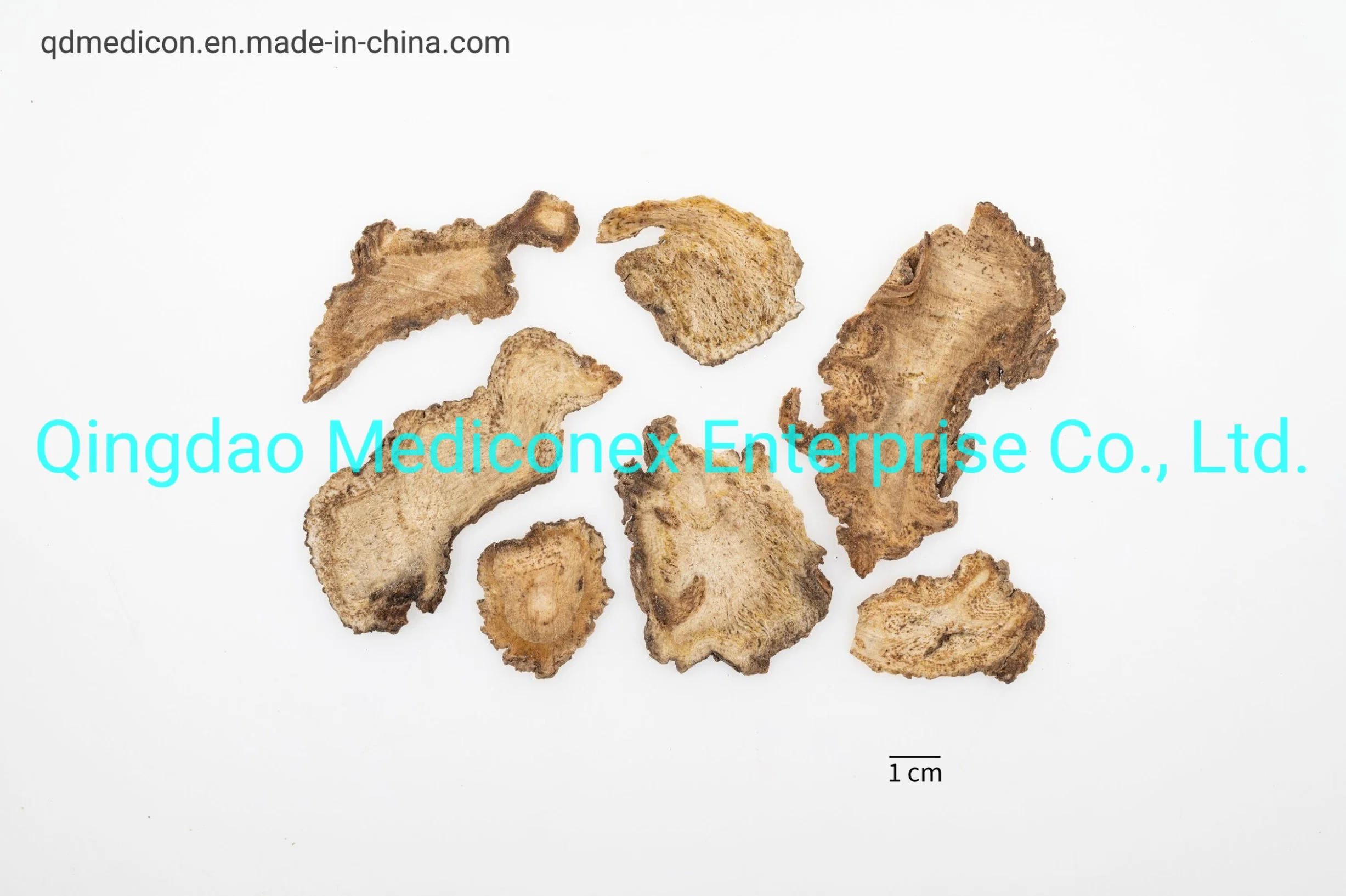 Angelica Pubescens (root) Prepared Trditional Chinese Herbal Medicine Concentrated Granule Arthrities