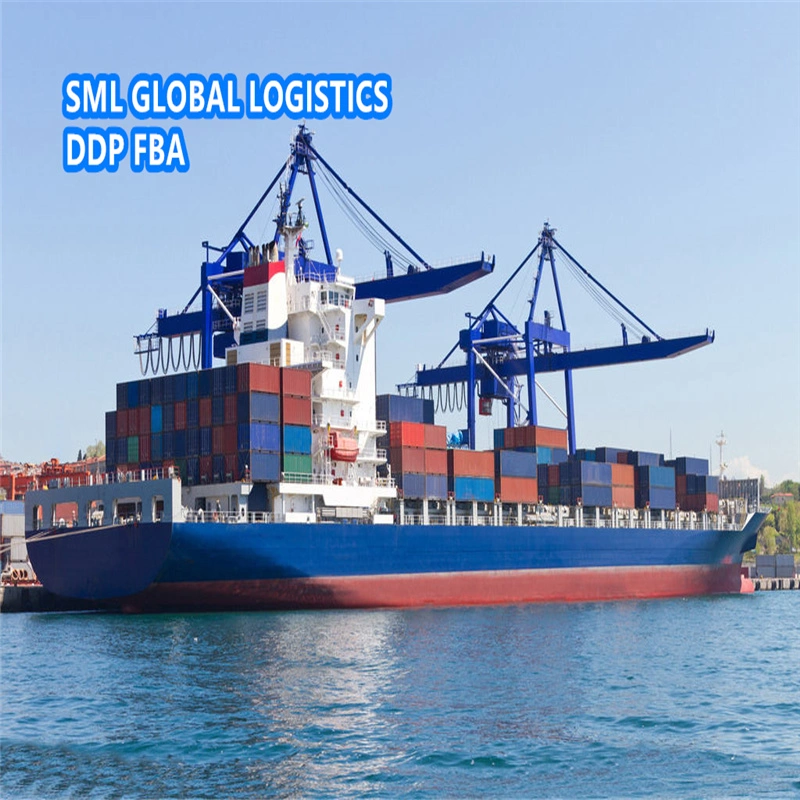 Transporte marítimo/carga aérea/Transporte de carga Express Shanghai/Guangzhou a la India Logística Tarifas