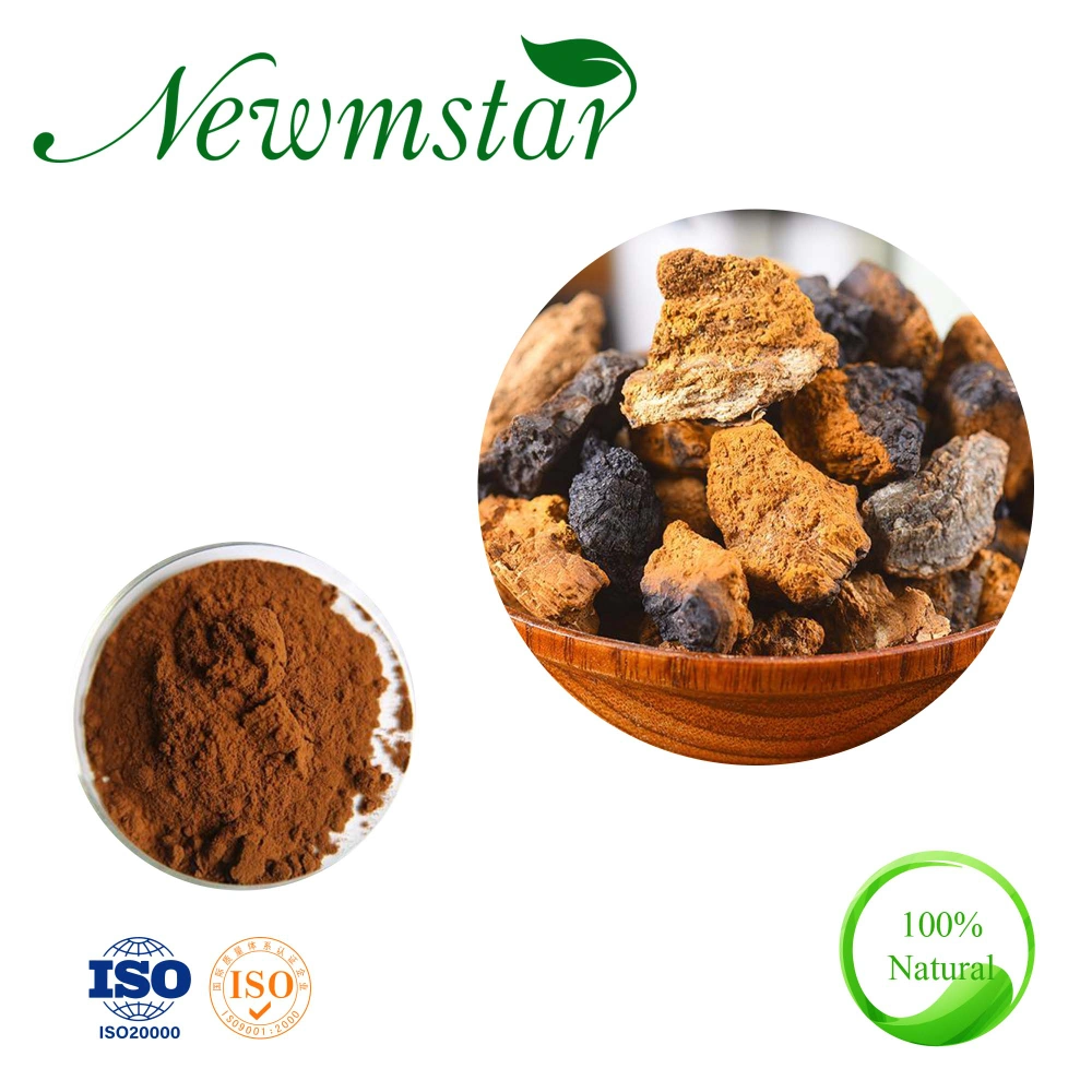 Extrato de Chaga Selvagem natural em pó extrato de cogumelo Chaga Anticâncer