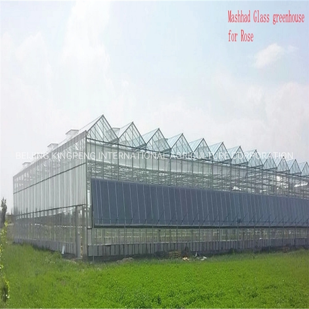 Floated/Tempered 4mm/5mm Glass Greenhouse Projects/Item in China/Over The World