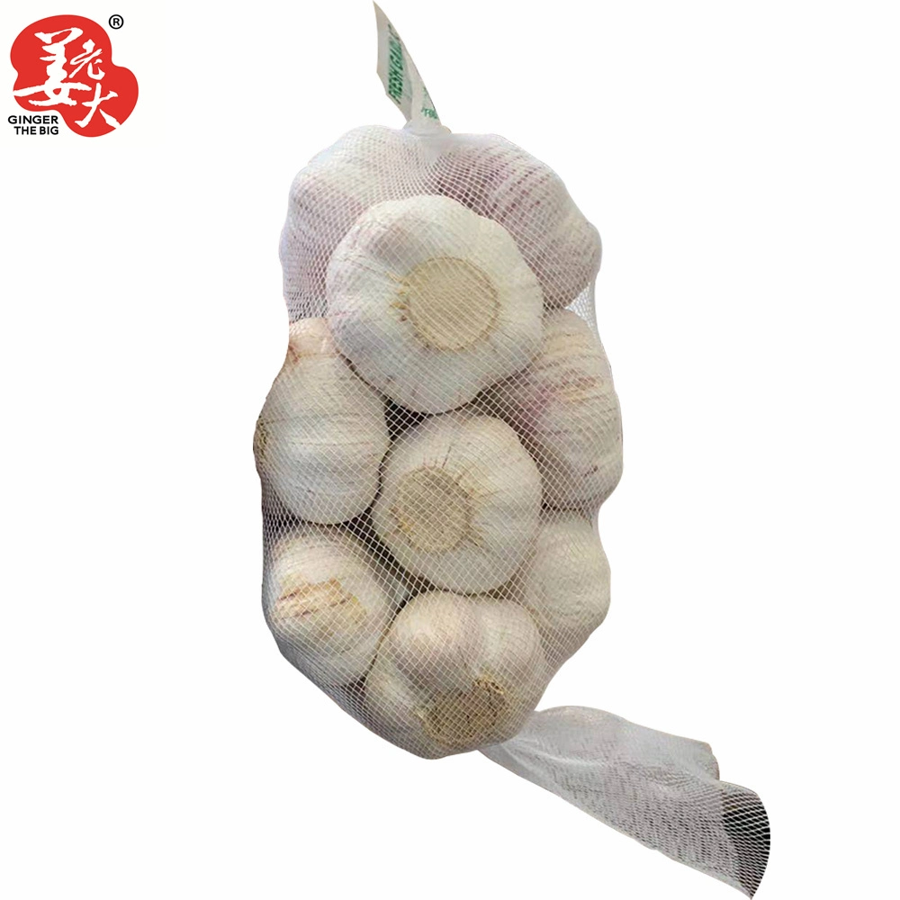 New Crop Good Quality Chinese Fresh White Garlic