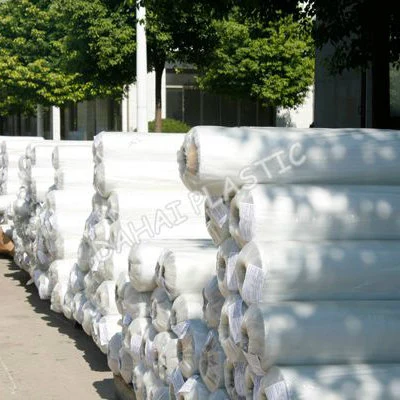 PVC Normal Clear Sheet in Rolls for Bags