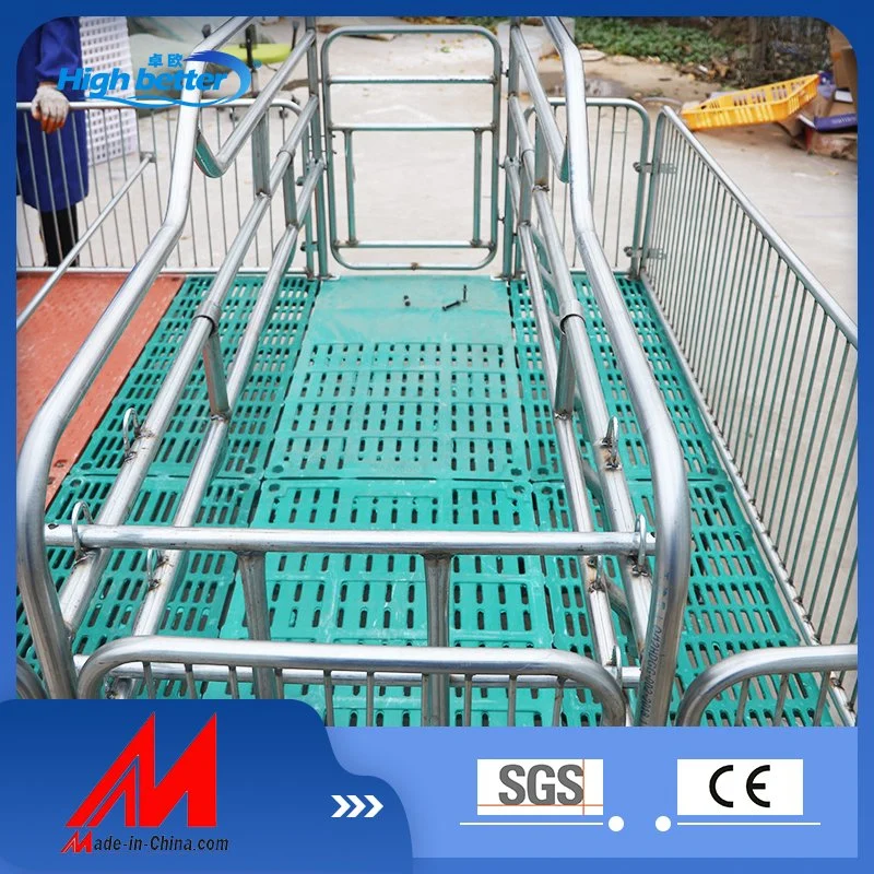 High-Quality Galvanized Crate Fattening Bed Pig Raising Equipment Made in China
