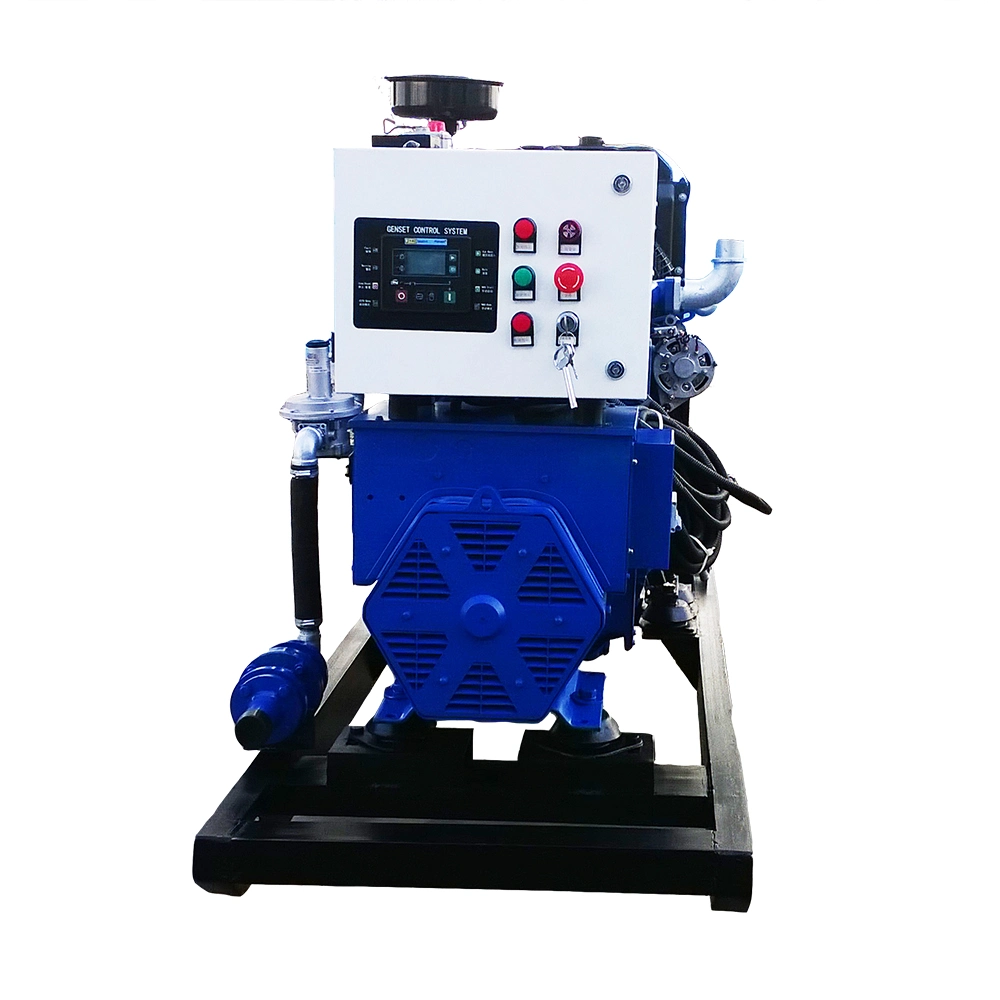 Water Cooled 30kw Natural Gas Electric Generator