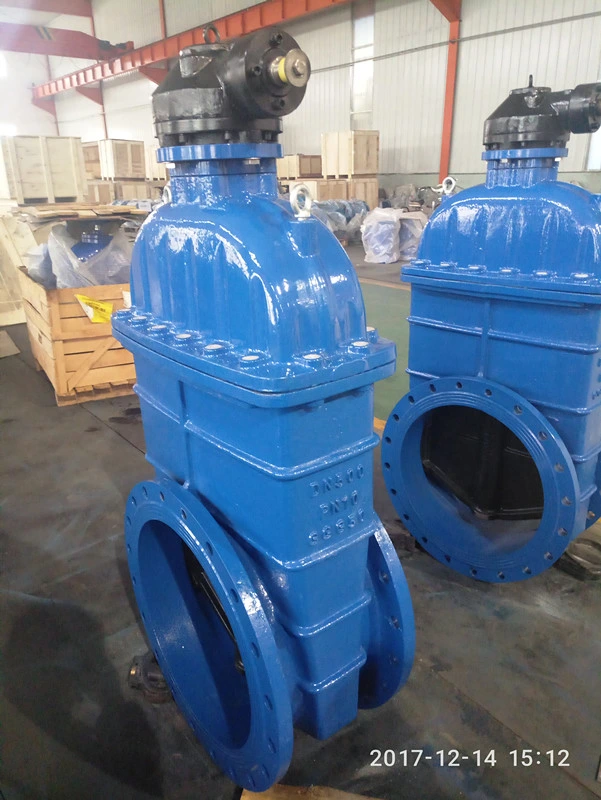 Awwa C504 C519 JIS2602 Aus Standard Rubber Wedge Resilient Seat Gate Valve