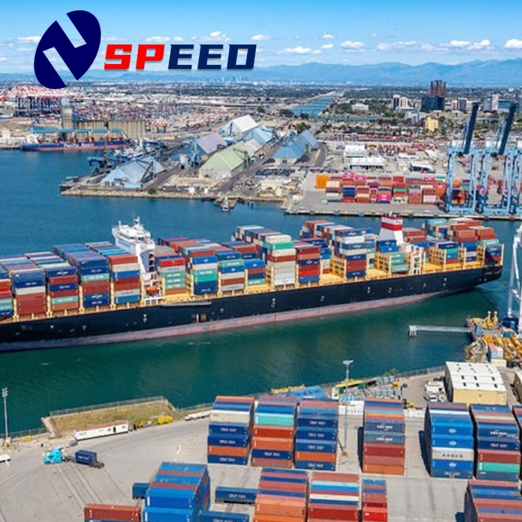 Faster sea Freight Shipping Forwender Company de China a Uxembourg, Dinamarca, Irlanda DDP a servicio de la puerta