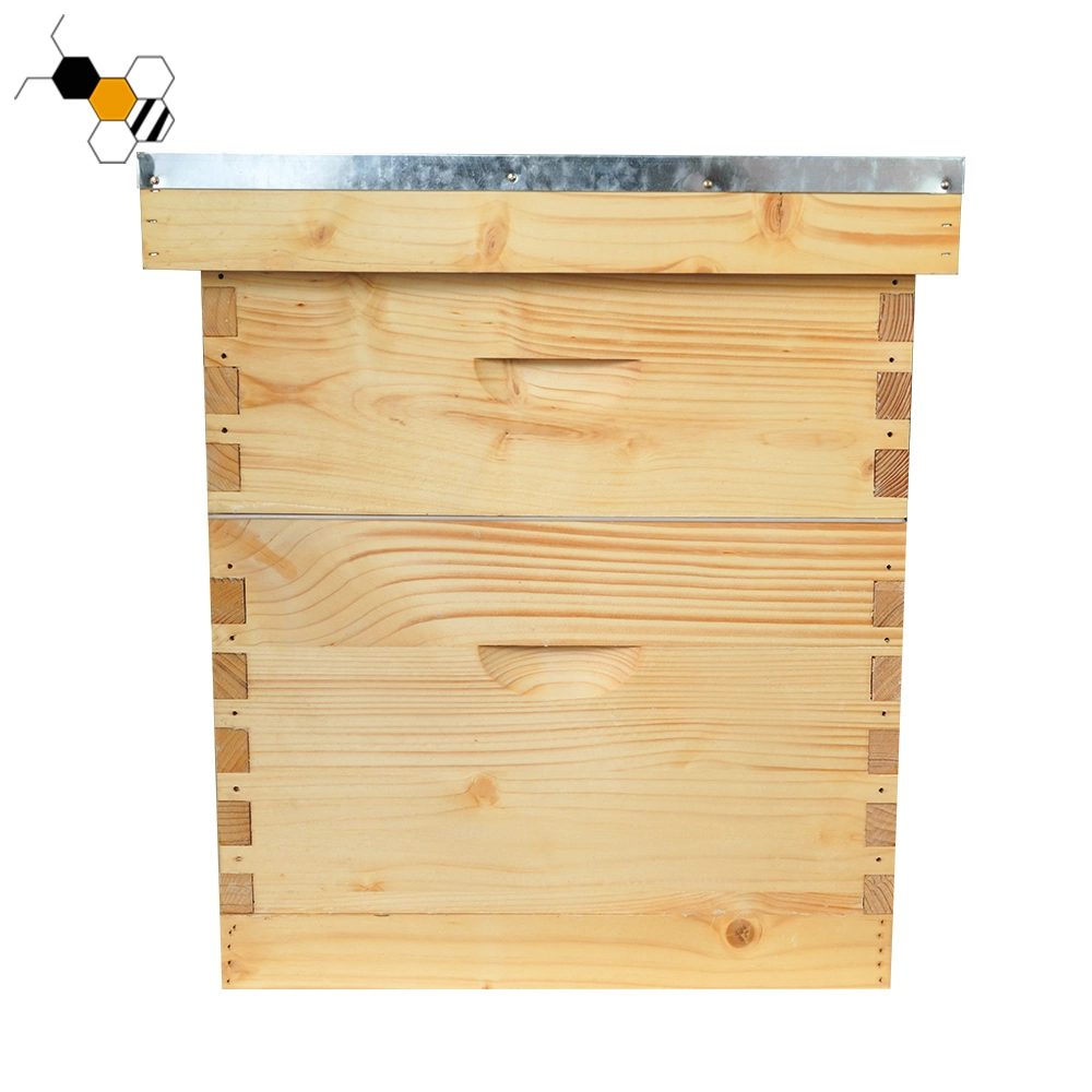 L'équipement d'Abeille apiculture ruche Langstroth Boîte en bois d'abeille