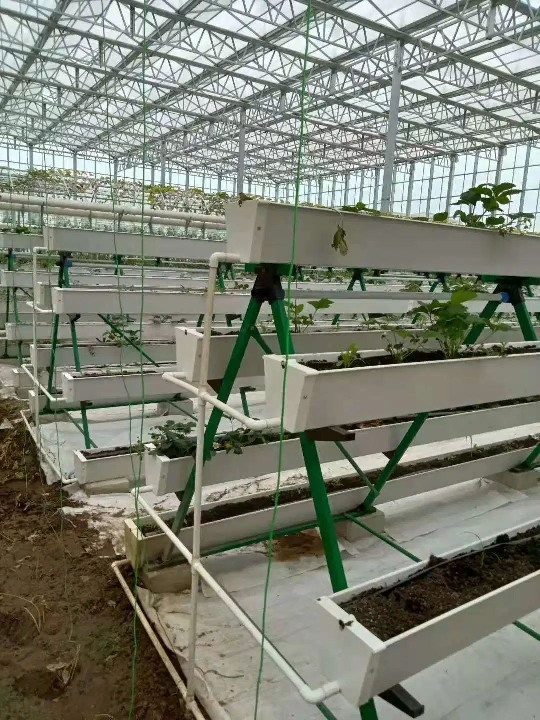 Vegetables Greenhouse Vertical PVC Nft Hydroponic Growing System