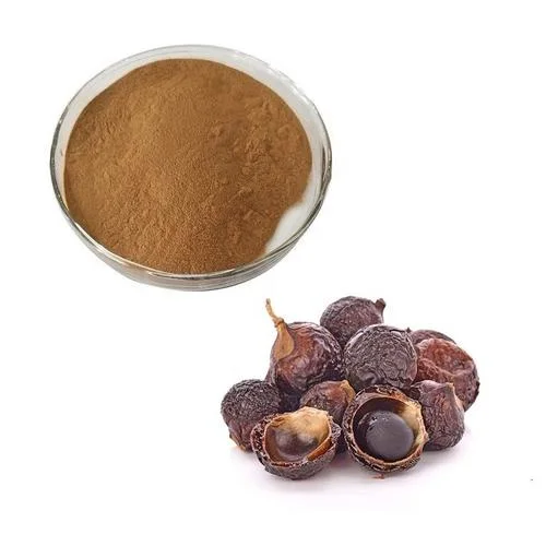 Soapnut Soapberry Extract, Sapindus Mukorossi Extract, Ritha for Pure Natural Detergent, Hand Sanitizer, Launtry Soap, Shampoo